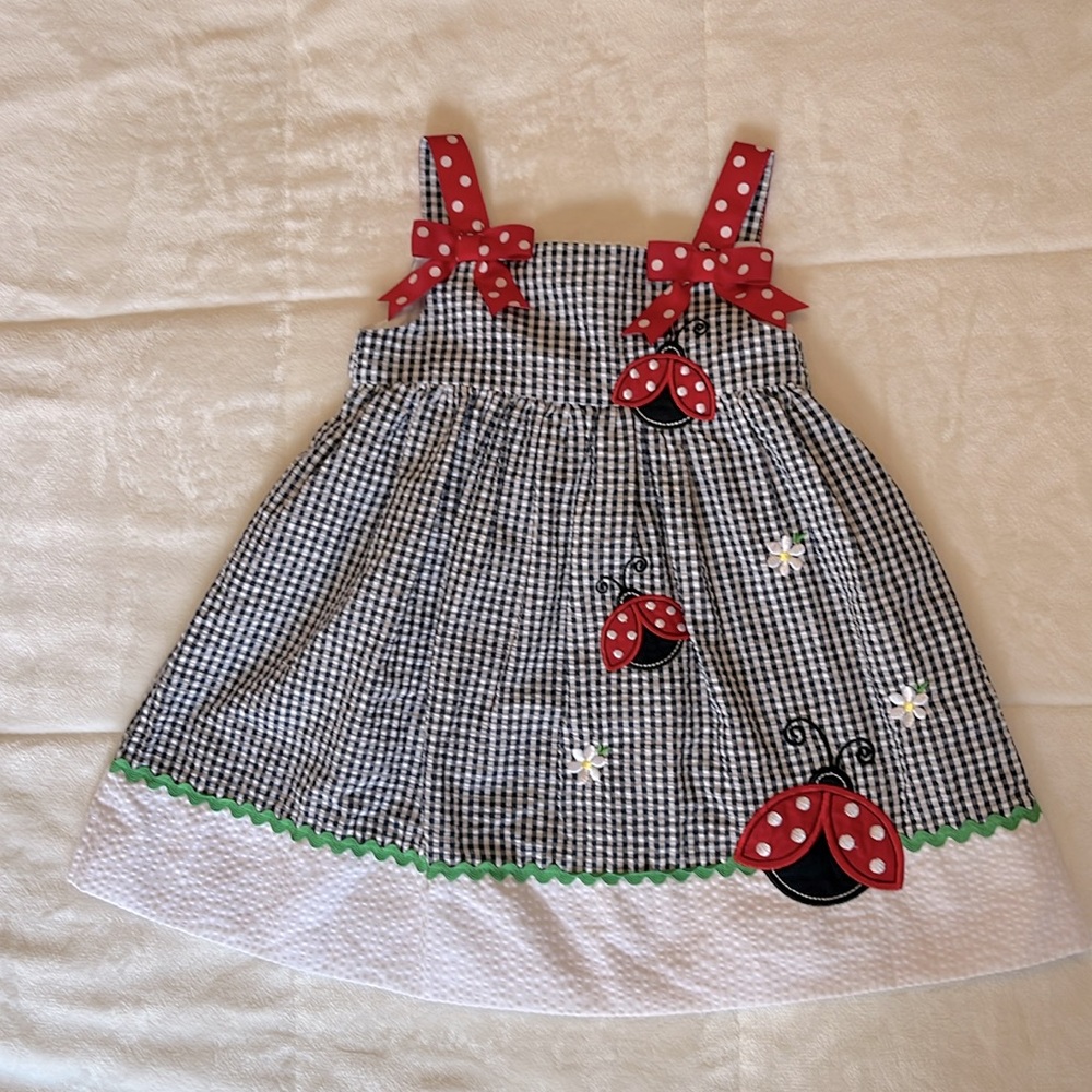 Lady Bug Gingham Dress